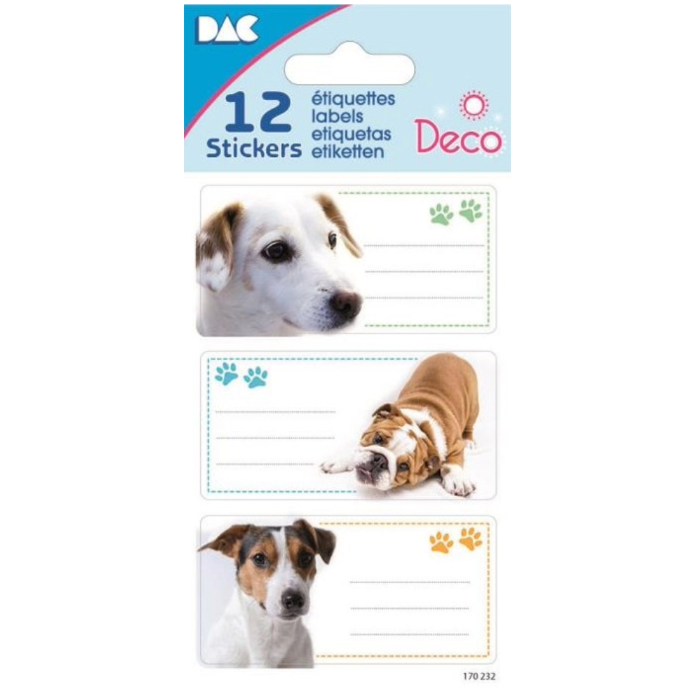 ΕΤΙΚΕΤΕΣ ΣΧΟΛΙΚΕΣ STICKERS GLOBAL 170232 8X12cm (12 ΤΕΜ.)