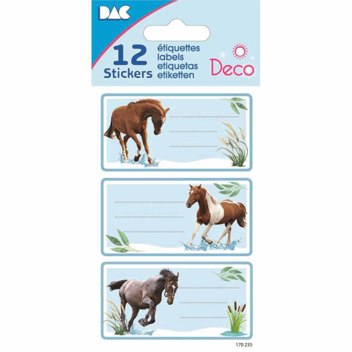 ΕΤΙΚΕΤΕΣ ΣΧΟΛΙΚΕΣ STICKERS GLOBAL 170235 8X12cm (12 ΤΕΜ,)