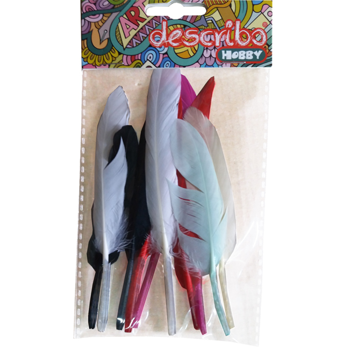 ΦΤΕΡΑ ΔΙΑΣΤΑΣΗΣ 10-20CM 10 ΤΕΜΑΧΙΑ 6 ΑΣΟΡΤΙ ΧΡΩΜΑΤΑ DESCRIBO * CN * DES-0022