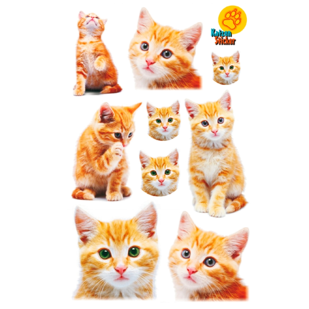 STICKERS BSB 11-637/3 paper