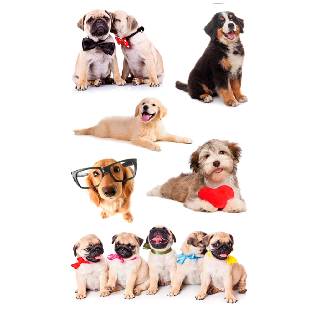 STICKERS BSB 11-792/3 paper